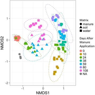 Temporal Dynamics of Bacterial Communities in Soil and Leachate Water After Swine Manure Application